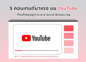 cover 11